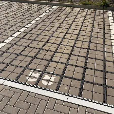 Alea Iacta -free Parking-